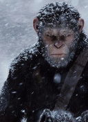 抖音9.1破解版官方版下载_抖音破解版app下载19216801