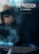 好色先生tv_好色先生安装包怎么安装到苹果电脑上