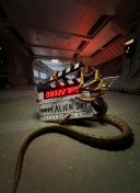 免费糖心官方版_糖心k8 casino官网入口vlog网网页版官方破解版最新