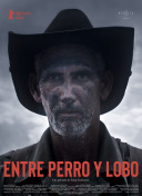 free末发育性video中国