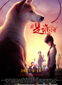 91视频入口官方版_