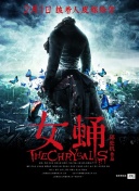 ass亚洲熟妇大全pic